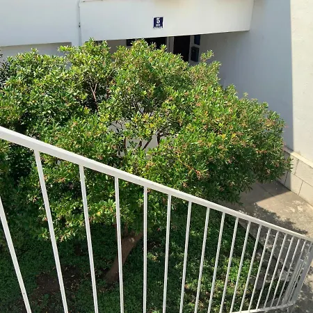 Giordano Dubrovnik